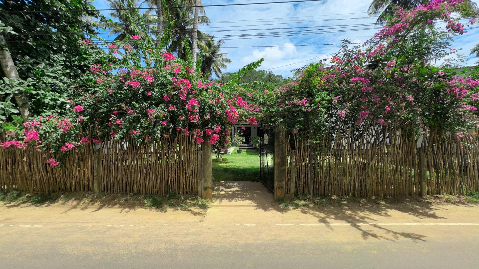 Villa Hiriketiya Dikwella Exterior foto